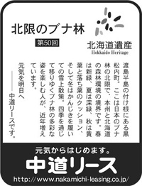 北海道遺産シリーズ ５０ 北限のブナ林