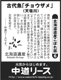 北海道遺産　こぼれ話 ６ 古代魚「チョウザメ」