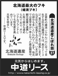 北海道遺産　こぼれ話 ３７ 北海道最大のフキ