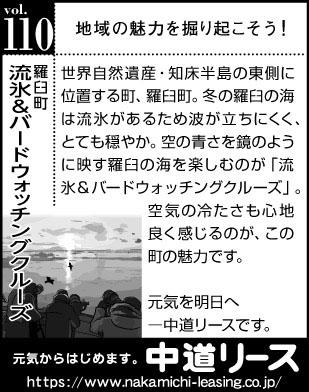 北海道　地域の魅力１１０　流氷＆バードウォッチングクルーズ