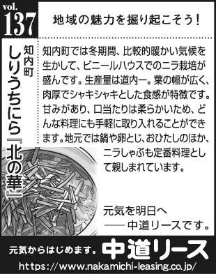 北海道　地域の魅力１３７　しりうちにら「北の華」